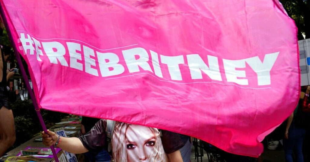 pink #FreeBritney flag waving