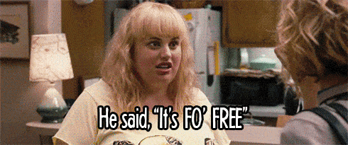 Rebel Wilson in Bridesmaids saying he said its for free and I said sure GIF 