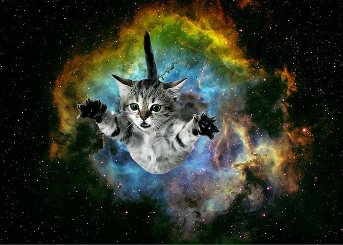 Galaxy Cat Universe Kitten Launching into Space by Johnnie Art