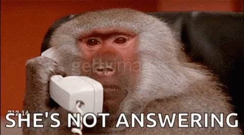 monkey holding telephone with caption "she's not answering"