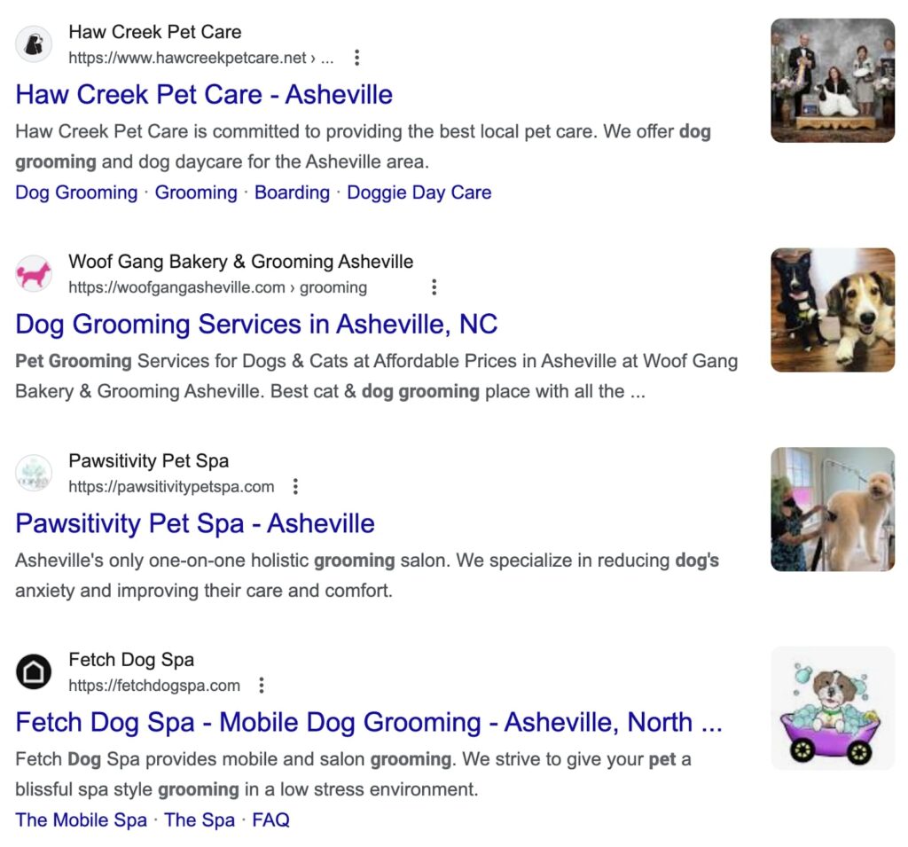 Search results for dog grooming near me with non-action-oriented meta descriptions